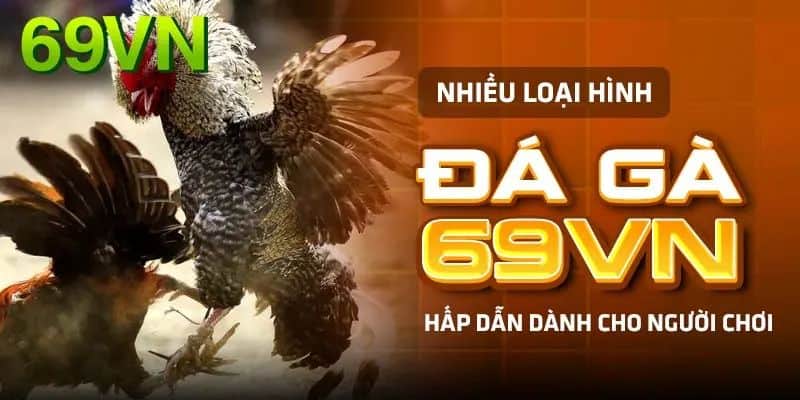 Đá gà WS168 69VN với đa dạng trận hấp dẫn